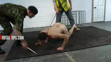 Session 173 Leashed Made To Lick Filthy Arseholes And Suck A Dick