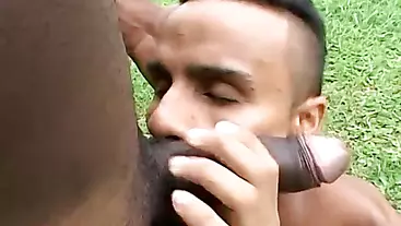 Gays cant resist this hot black studs amazing big cock