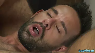 Latin bear casting couch with cumshot