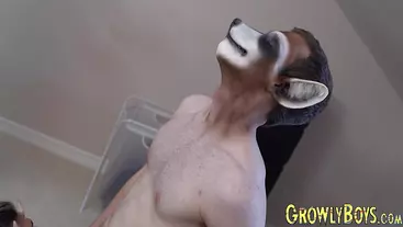 Horned horny daddy drills ass of a poor little raccoon twink